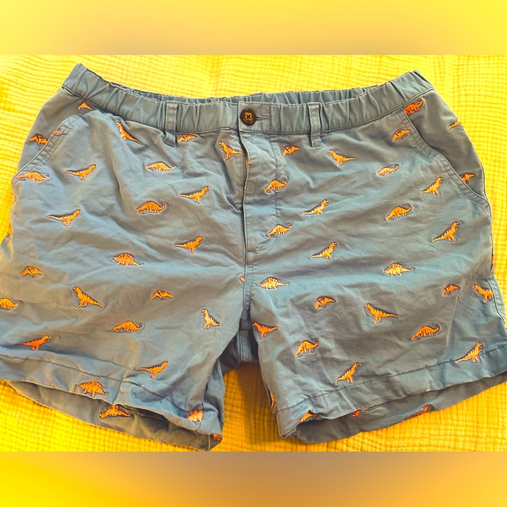 Mens Chubbies Dinosaur Print Shorts XL